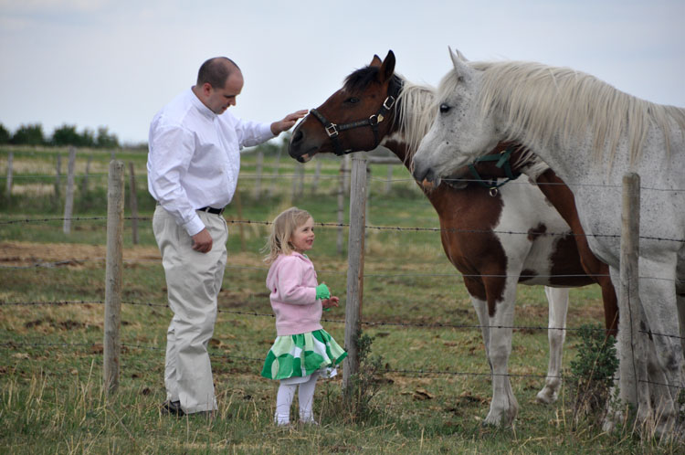 Meeting the horses 4